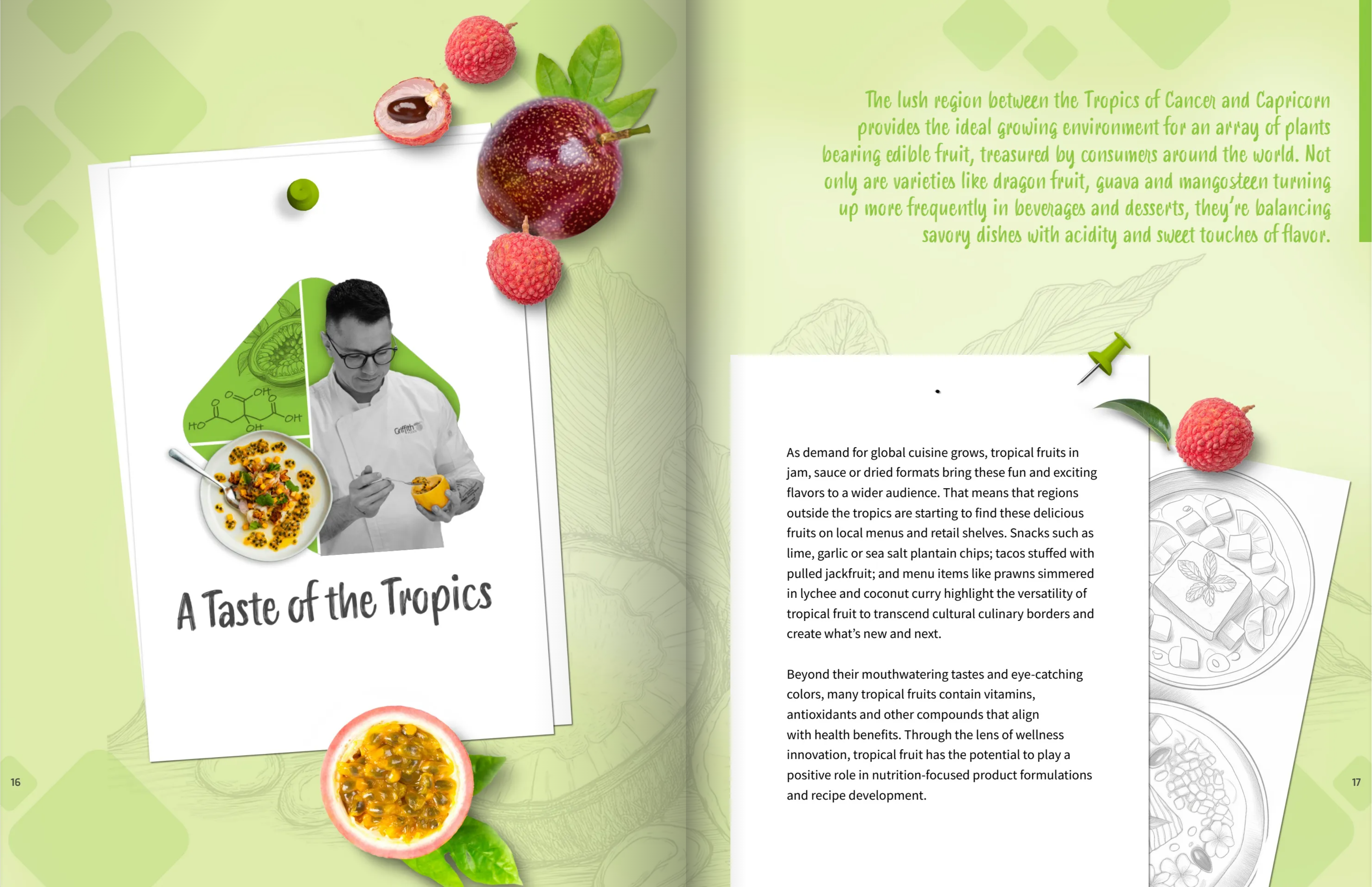 Taste of the Tropics Flipbook Cover