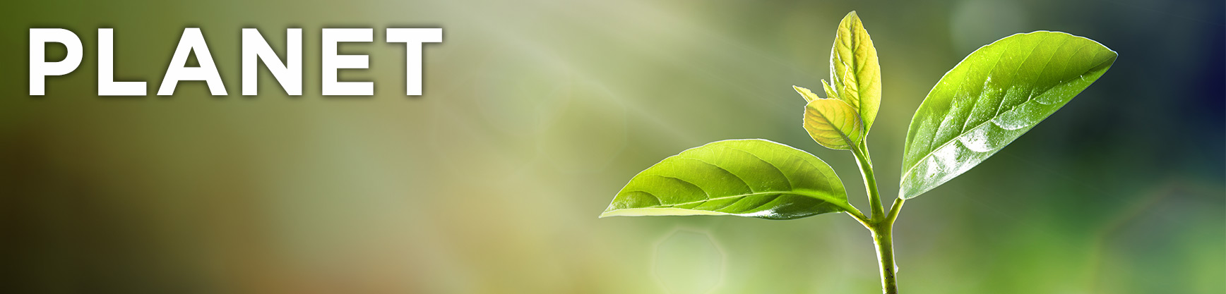 Planet text next to sprouting leaf